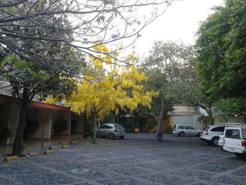 Hotel Isabel Guadalajara Bagian luar foto